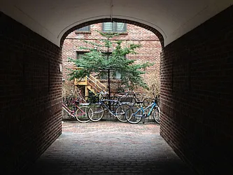 Rented by Highline Residential