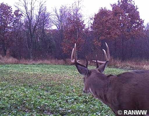 1st image of 0 E Townline Road