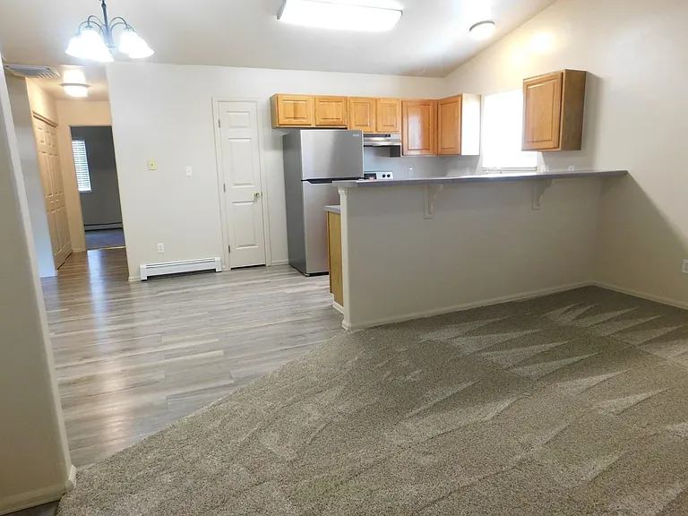 1107 E Carolina Ave #4 — Photo 6