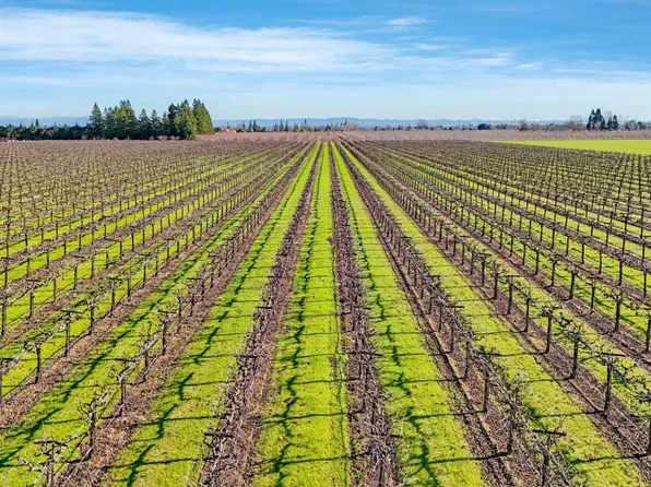 16300 N Tretheway Rd, Lodi, CA 95240