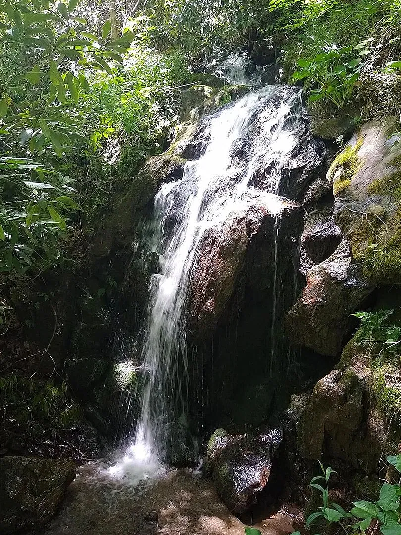 Serene 4br Log Cabin With Waterfalls Close To Town — Photo 2