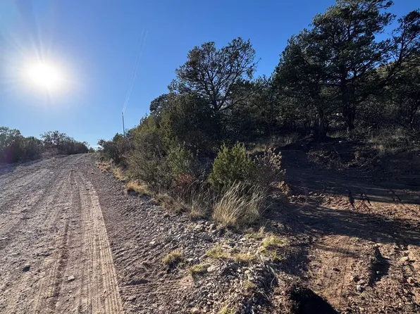 80 Longfellow Rd, Timberon, NM 88350