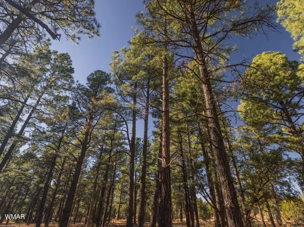 039K Dynamite Rd, Lakeside, AZ 85929
