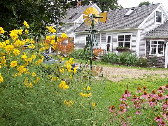 View from Vegetable Garden