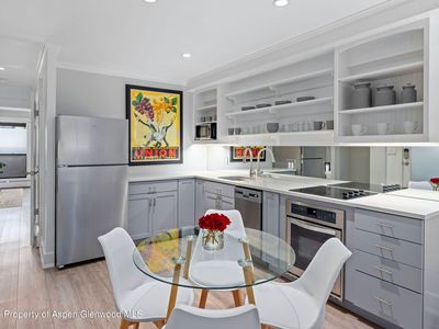 980 E Hyman Ave APT 5, Aspen, CO, 81611