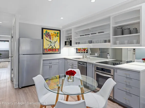 980 E Hyman Ave APT 5, Aspen, CO 81611