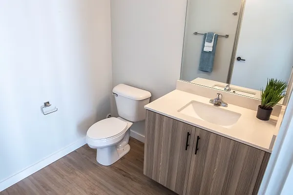 1006 S 3rd St #217 — Photo 5