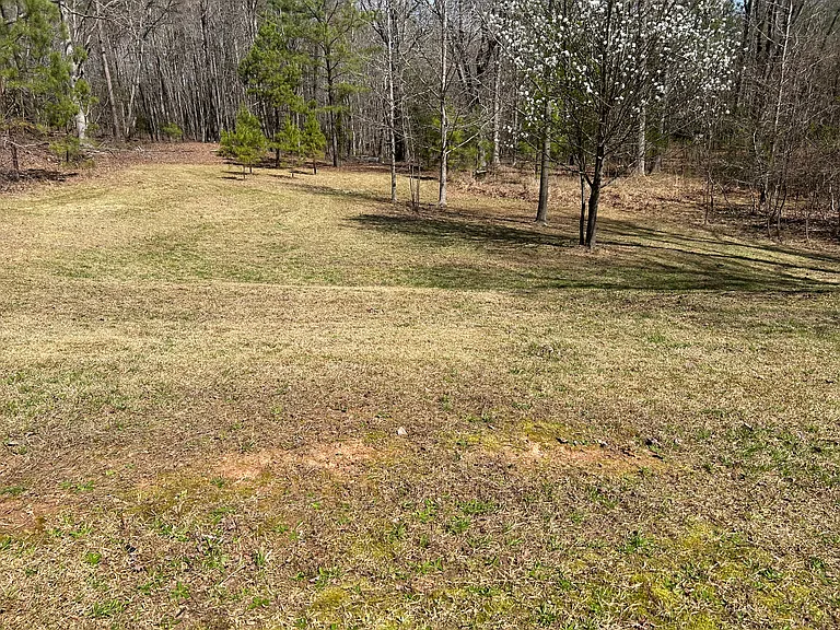 super large back yard
