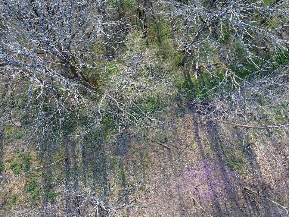 1st image of 0 Wilson Cir Lot 105