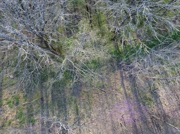 0 Wilson Cir Lot 105, Smithville, TN 37166