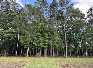 1672 Slatestone Rd, Washington, NC 27889