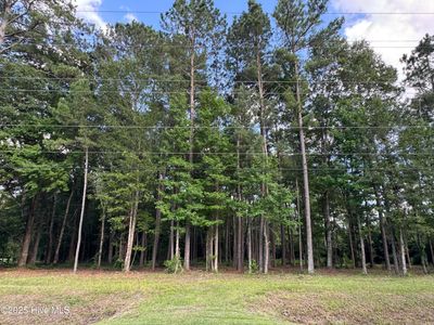 1672 Slatestone Road, Washington, NC, 27889