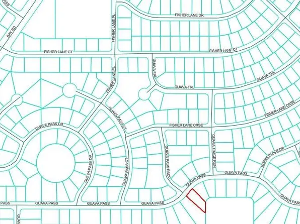 Guava Pass Lot 15, Ocklawaha, FL 32179