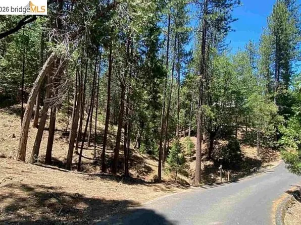 12000 Trapper Ct, Groveland, CA 95321