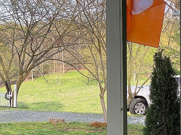 View From Porch