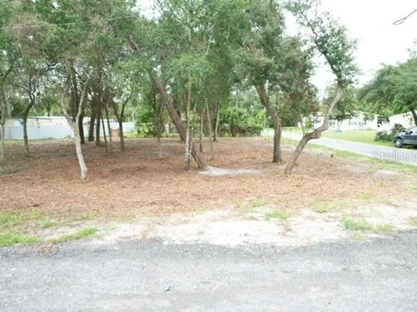 LUELLA AVENUE LOT 61, PAISLEY, FL 32767