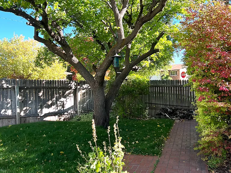 1013 S Cedar St — Photo 20