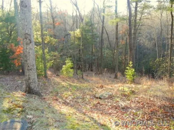 37 Dividing Ridge Trl, Arden, NC 28704