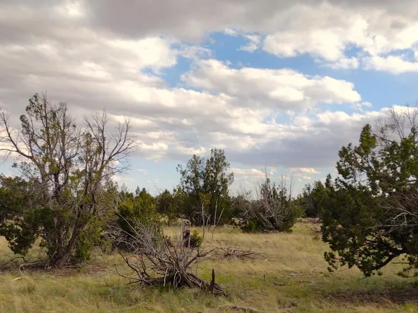 LOT-94A Witch Wl, Saint Johns, AZ 85936