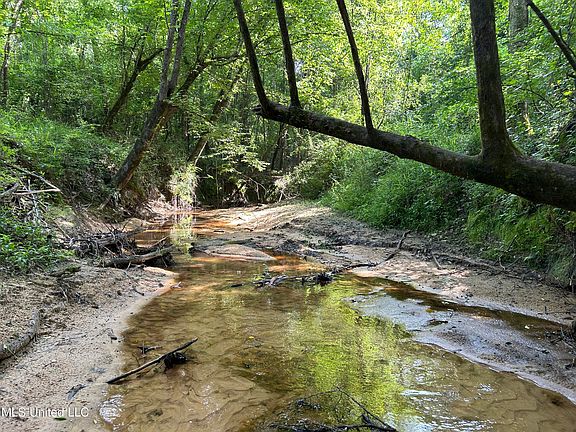 2nd image of 11650 Attala Road 4101