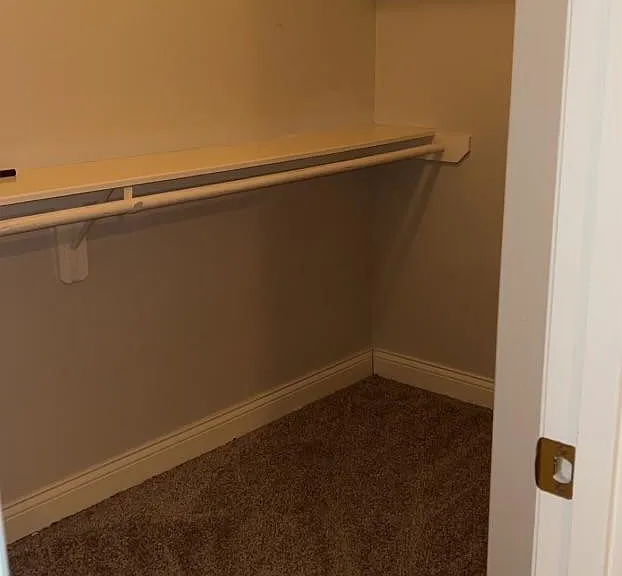 8222 Sugar Cane Dr — Photo 14