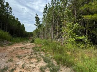 County Road 34 Parcel D, Dadeville, AL 36853