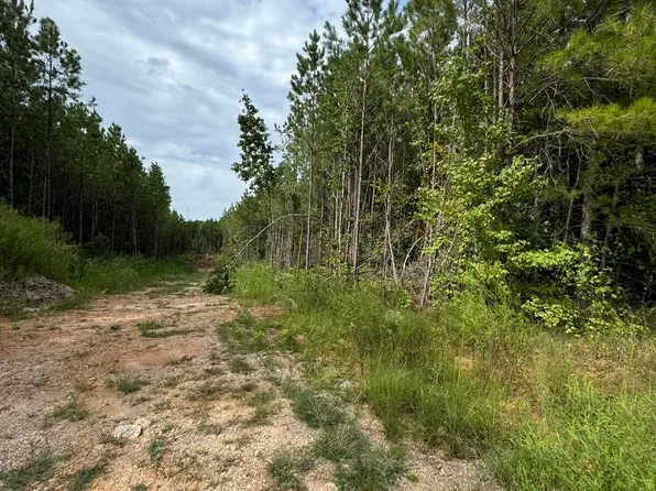 County Road 34 Parcel E, Dadeville, AL 36853