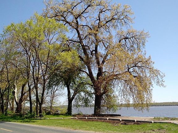 Enjoy this everyday!