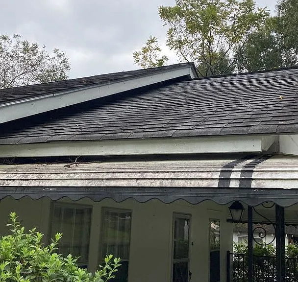305 Dogwood Ave — Photo 8