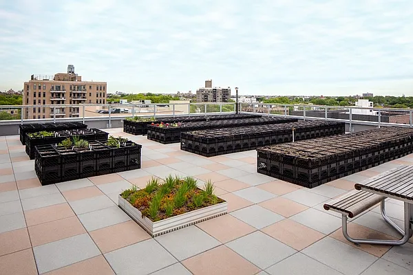 Rented by Lisa Management | media 27