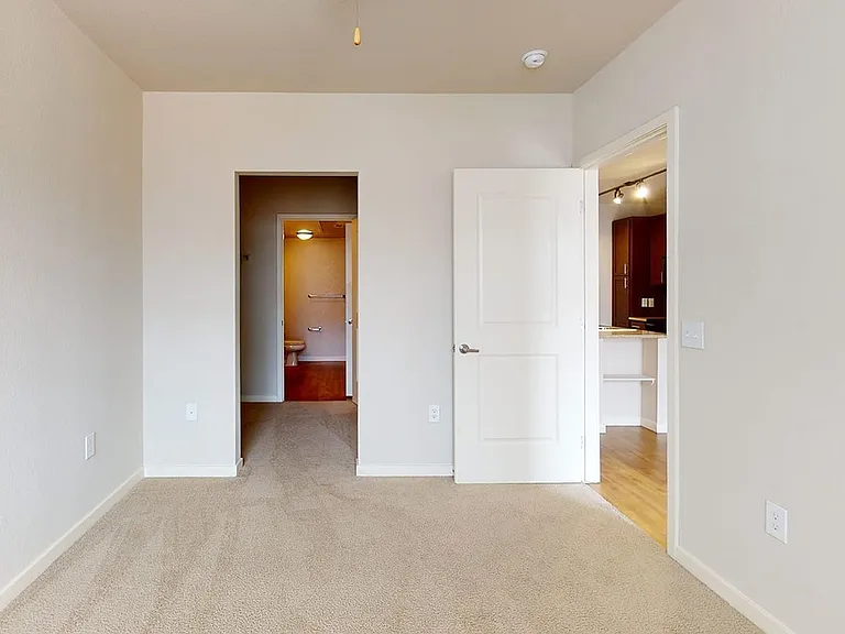 Spacious apartment bedroom with large closet, attached bathroom and plush carpet flooring.