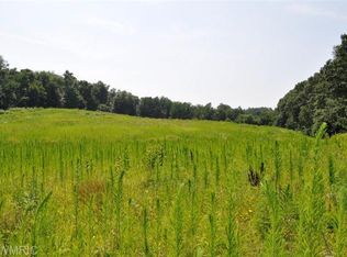 10716 Fish Rd, Belding, MI 48809