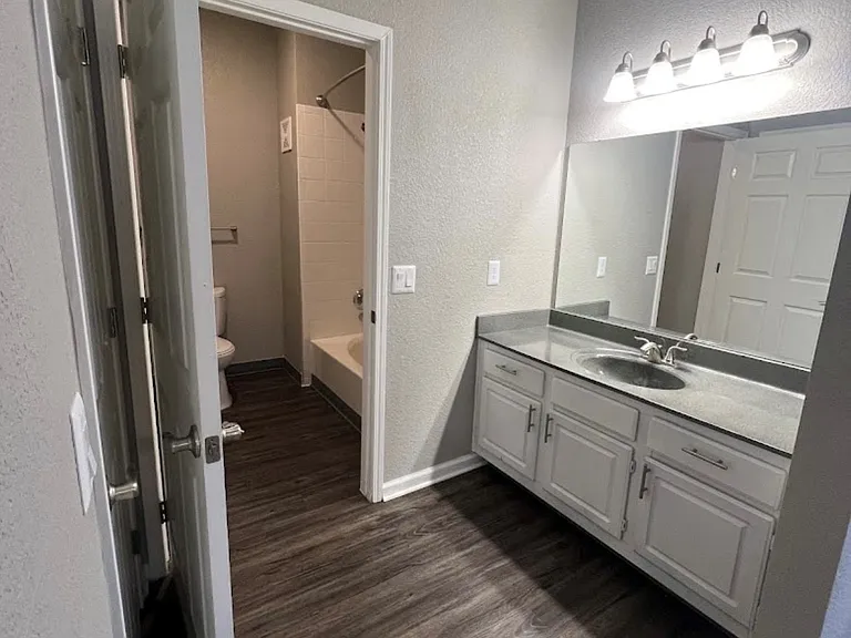The Lakes at Lionsgate Apartments — Photo 20