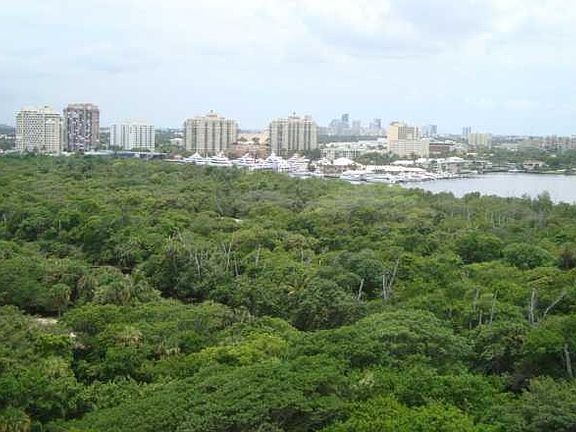 4th image of 1151 N Ft Lauderdale Beach #14B