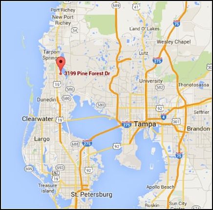 3199 Pine Forest Dr, Palm Harbor, FL 34684 | Zillow