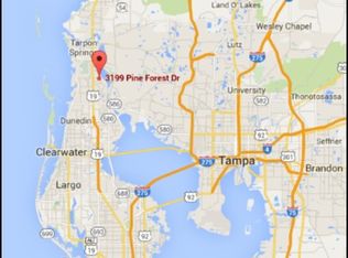 3199 Pine Forest Dr, Palm Harbor, FL 34684