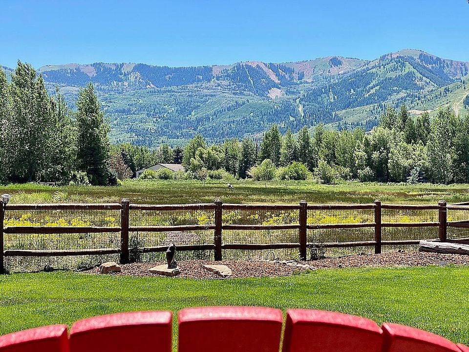 Back Yard View
