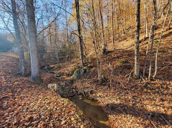 000 Ingram Branch, Roan Mountain, TN 37687