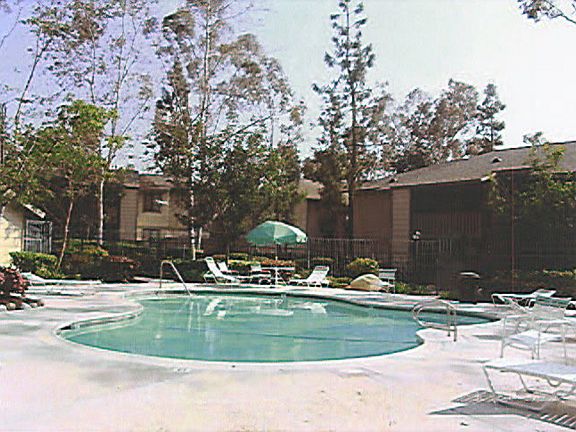 Community Pool & Spa