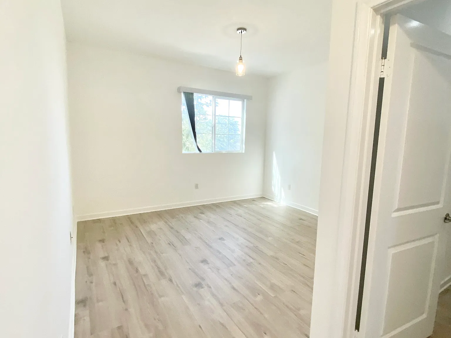 3 bed, 1650 sqft, $3,750 — Photo 1