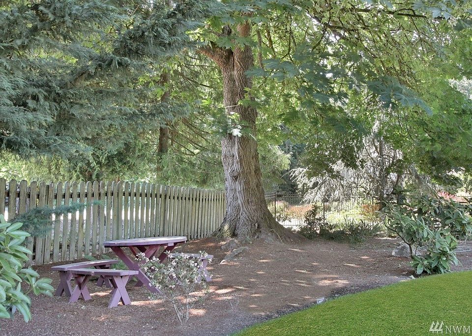 S★ Hotbodies Racing Kawasaki ZX-4RR 2023-2025 MGP Growler