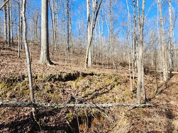 Id15 Shady Grove Rd, Holladay, TN 38341