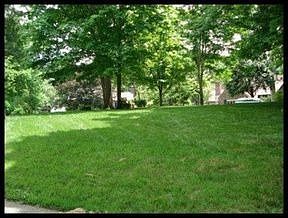 2nd image of 3606 Hillvale Cir