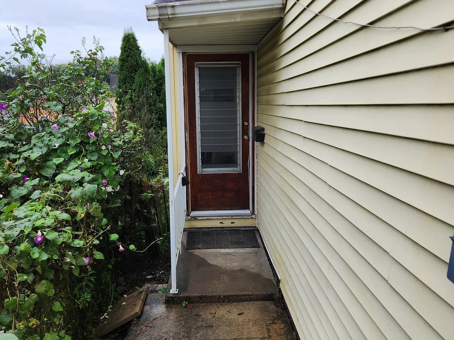 3 bed, 800 sqft, $1,100 — Photo 2