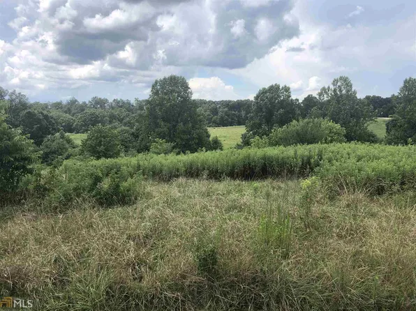 288 Sweetgrass Dr, Demorest, GA 30535