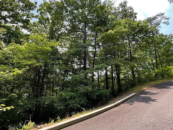 5th image of L-21 Bald Eagle Dr