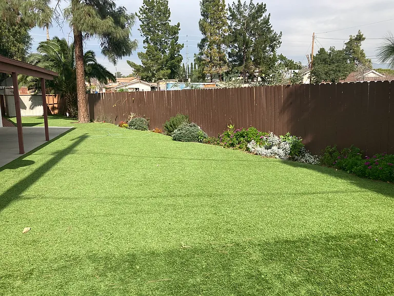 Backyard yard with covered patio