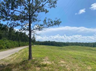 0 Otis Paine Rd, Bethel Springs, TN 38315