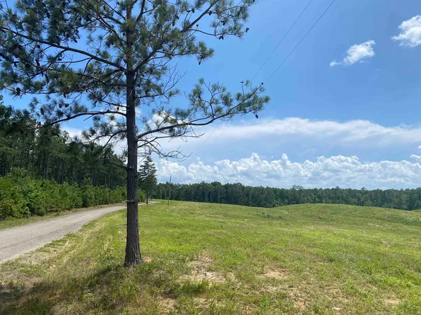 0 Otis Paine Rd, Bethel Springs, TN 38315