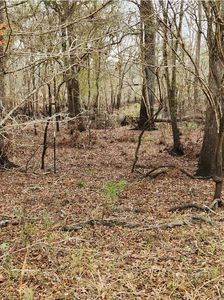 0 SE River Dr, Branford, FL, 32008